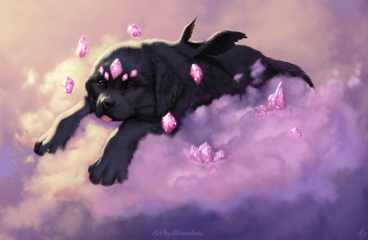 Newfoundland — artwork by Sandra